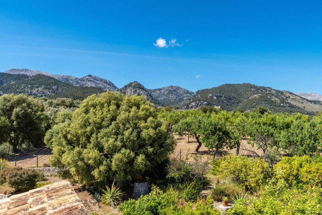 Finca Son Arnau Selva  Zewnętrze zdjęcie